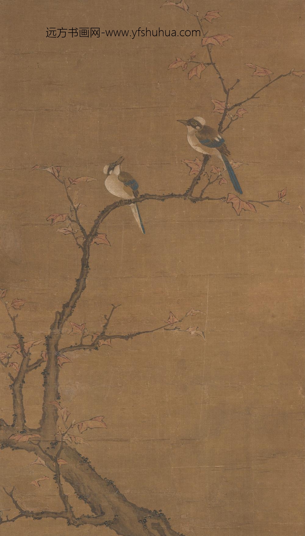 郑禧_红枫双禽图