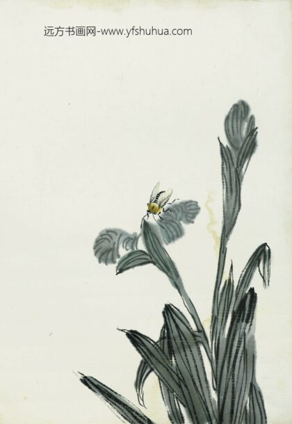 齐白石 叶隐闻声 花卉工笔草虫册 兰草蜜蜂.jpg