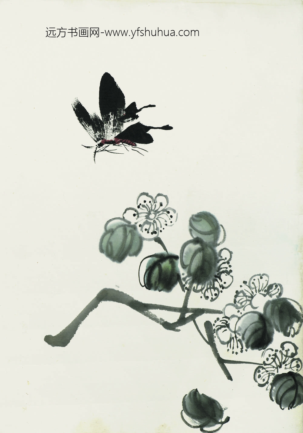 齐白石_叶隐闻声-花卉工笔草虫册-木芙蓉黑蝶