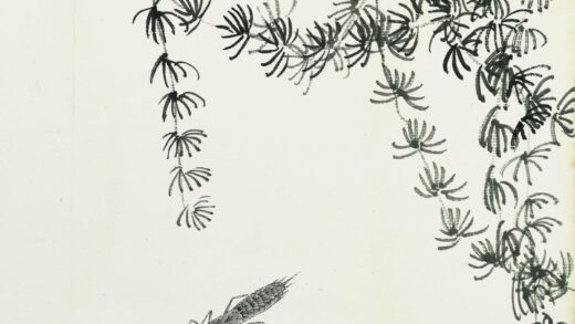 齐白石 叶隐闻声 花卉工笔草虫册 松枝草虫.jpg