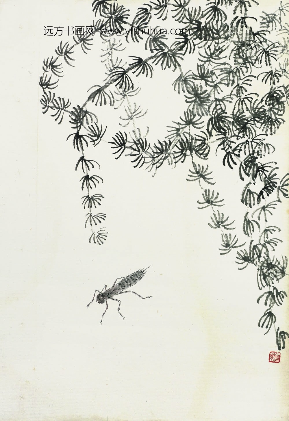 齐白石_叶隐闻声-花卉工笔草虫册-松枝草虫