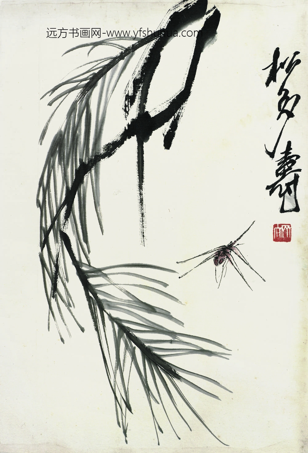 齐白石_叶隐闻声-花卉工笔草虫册-松枝蜘蛛