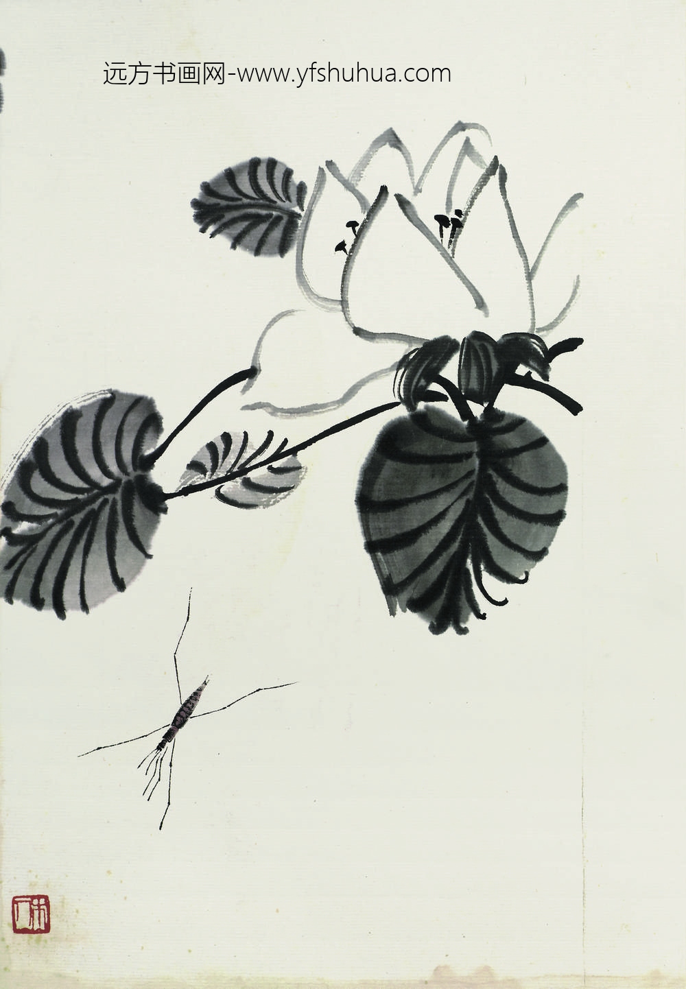 齐白石_叶隐闻声-花卉工笔草虫册-牵牛花蜻蜓