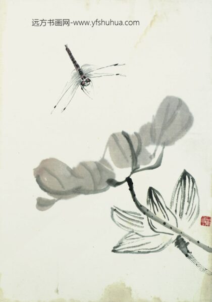 齐白石 叶隐闻声 花卉工笔草虫册 玉兰花蜻蜓.jpg