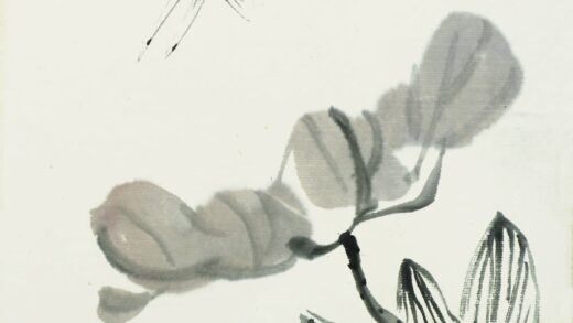 齐白石 叶隐闻声 花卉工笔草虫册 玉兰花蜻蜓.jpg