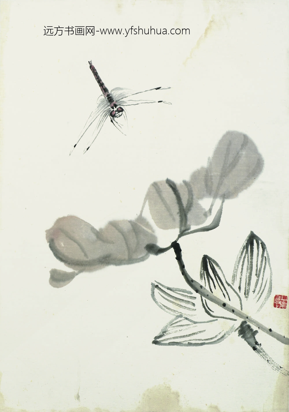 齐白石_叶隐闻声-花卉工笔草虫册-玉兰花蜻蜓