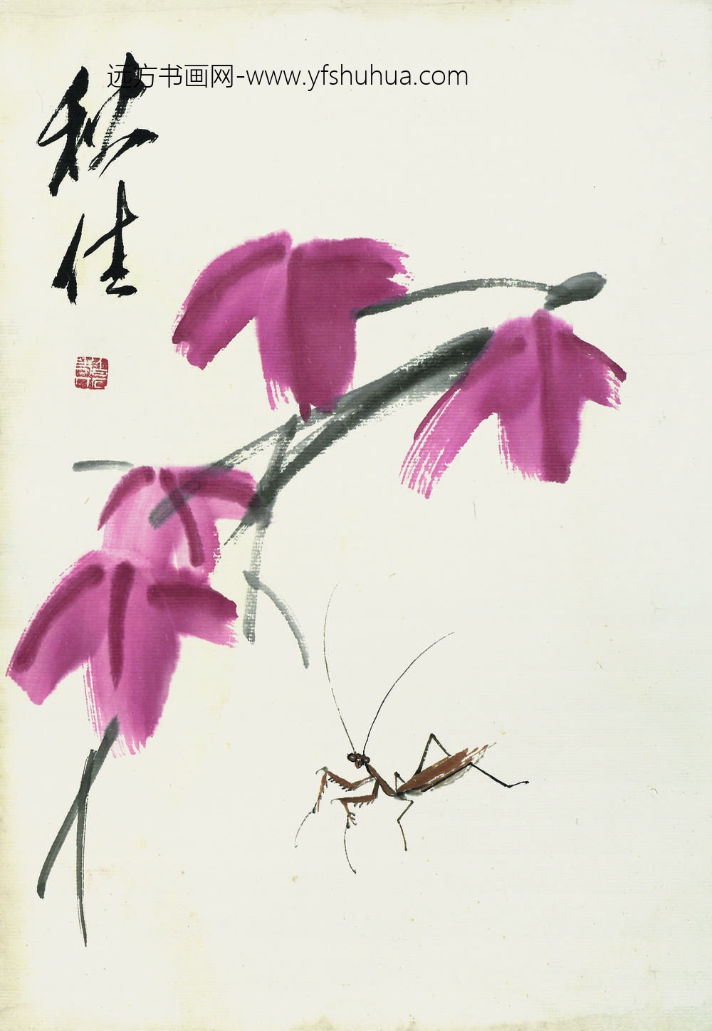 齐白石_叶隐闻声-花卉工笔草虫册-秋佳牵牛花螳螂