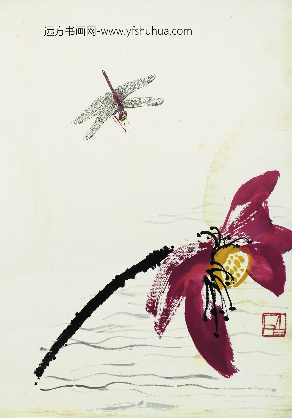 齐白石_叶隐闻声-花卉工笔草虫册-秋塘飞蜓（红荷蜻蜓）