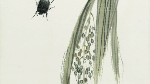 齐白石 叶隐闻声 花卉工笔草虫册 稻穗甲虫.jpg