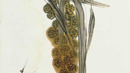 齐白石 叶隐闻声 花卉工笔草虫册 谷穗螳螂.jpg