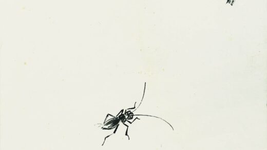齐白石 叶隐闻声 花木工笔草虫册 墨菊天牛.jpg