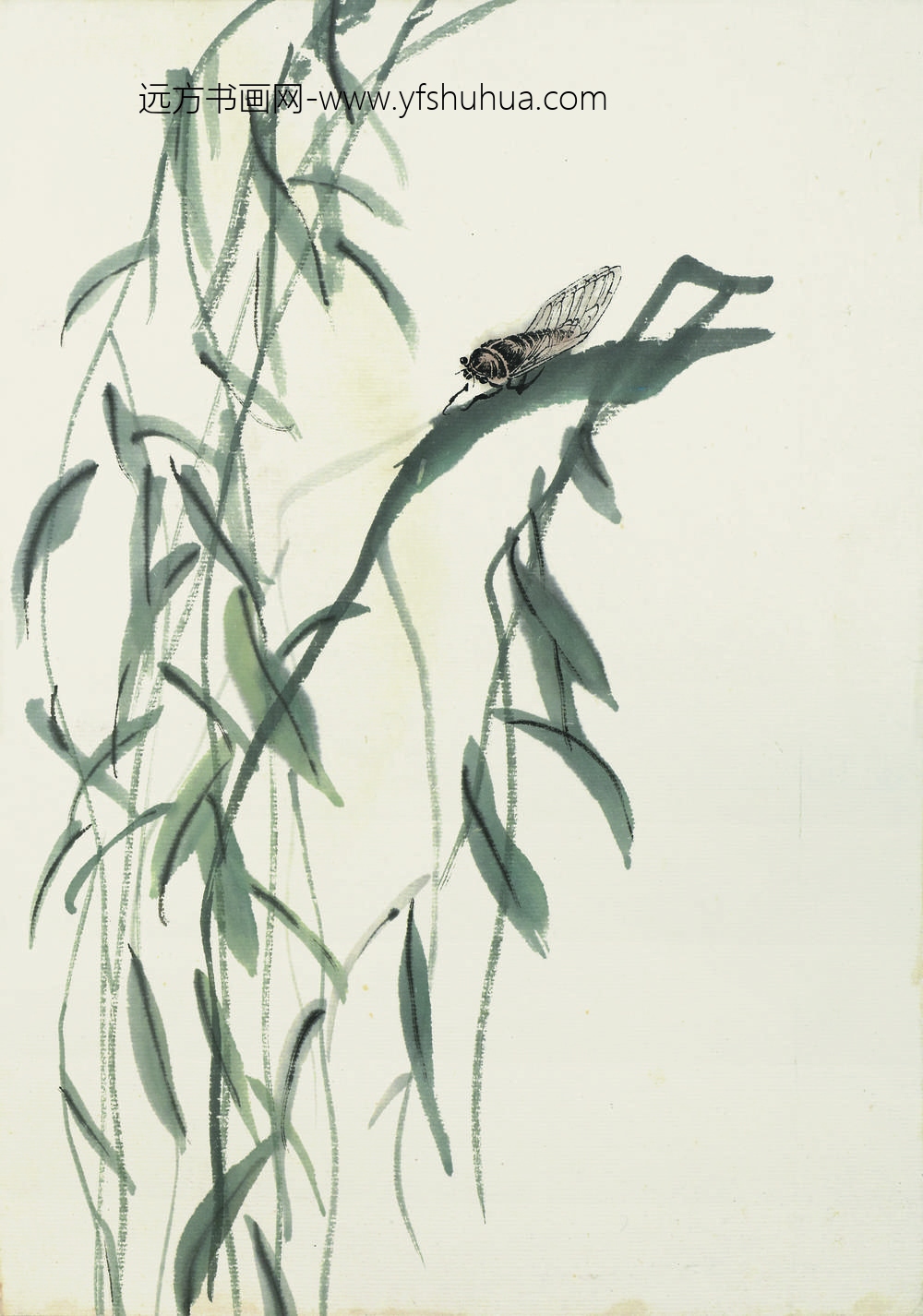 齐白石_叶隐闻声-花木工笔草虫册-柳蝉