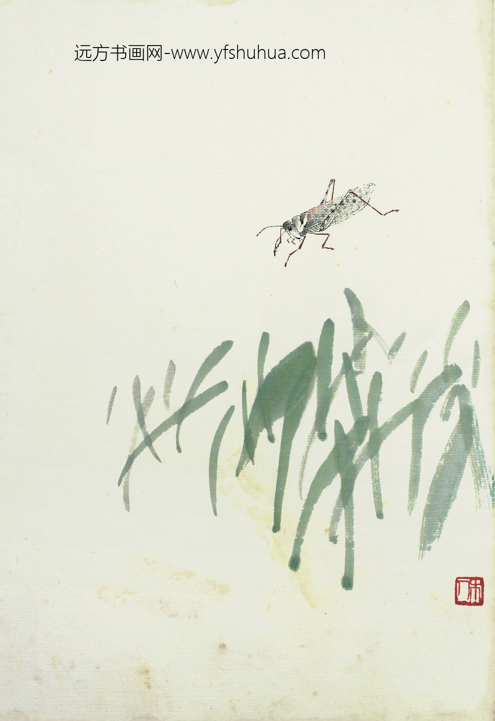 齐白石_叶隐闻声-草木工笔草虫册-野草蜻蜓