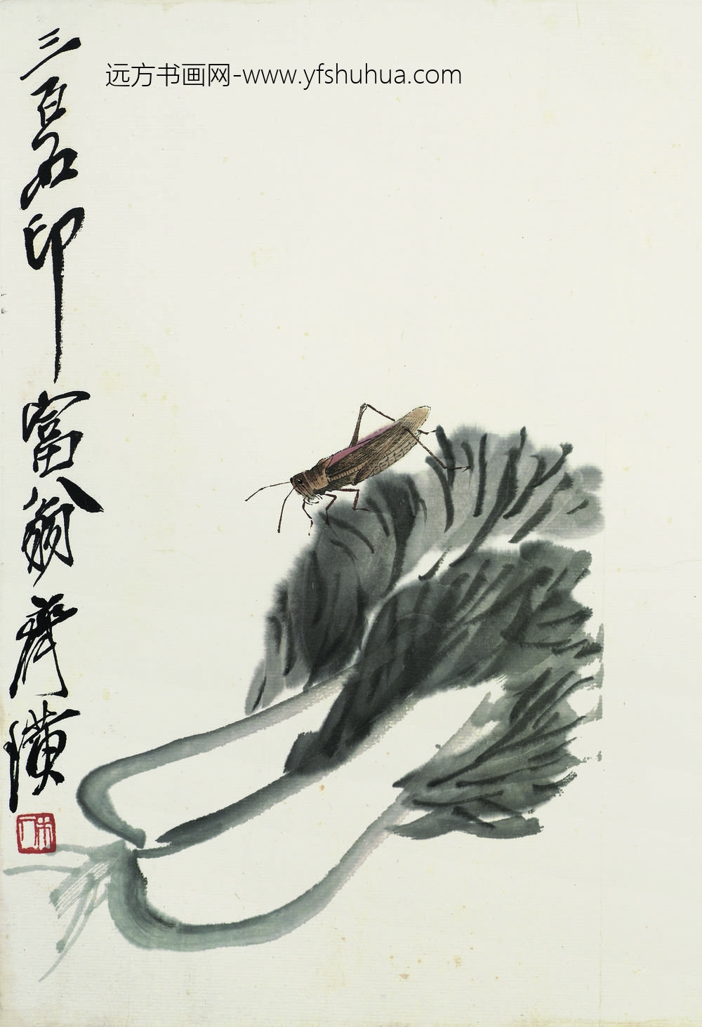 齐白石_叶隐闻声-蔬果工笔草虫册-白菜蝗虫