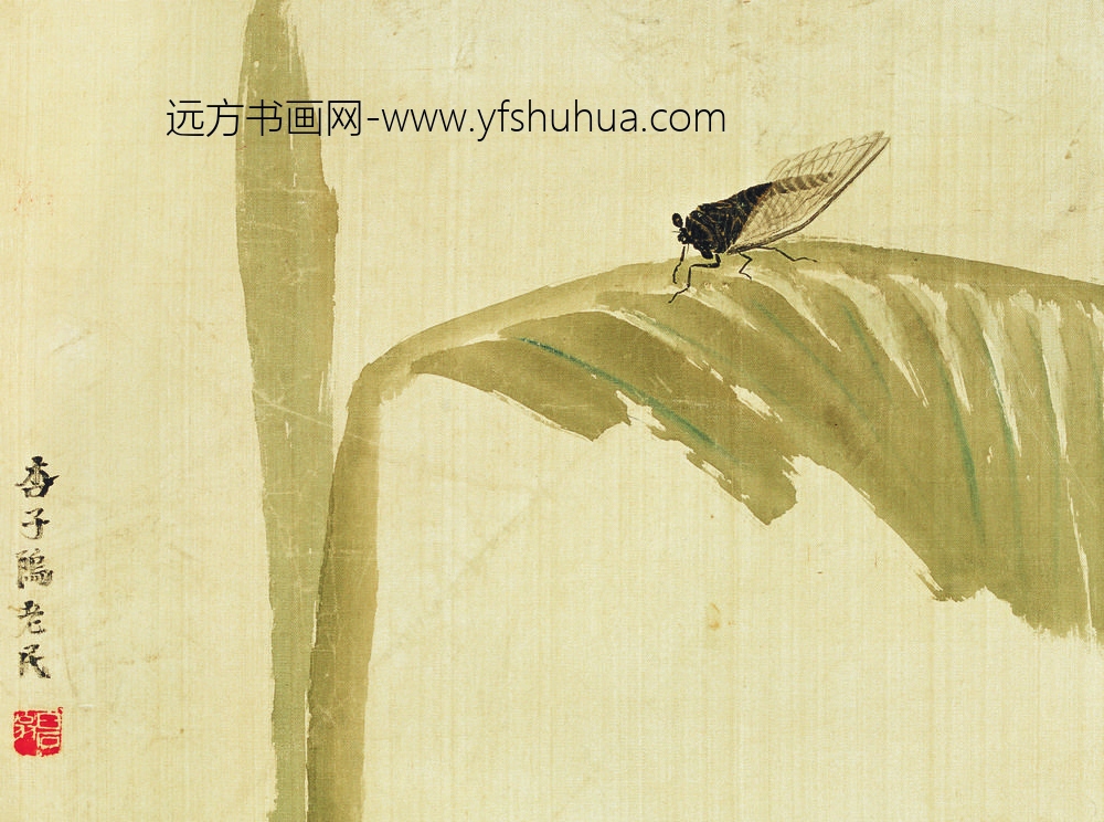 齐白石_工笔草虫图册-芭蕉鸣蝉图