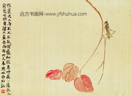 齐白石 工笔草虫图册 蚱蜢.jpg