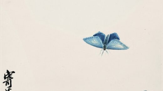 齐白石 昆虫册页 双蛾.jpg