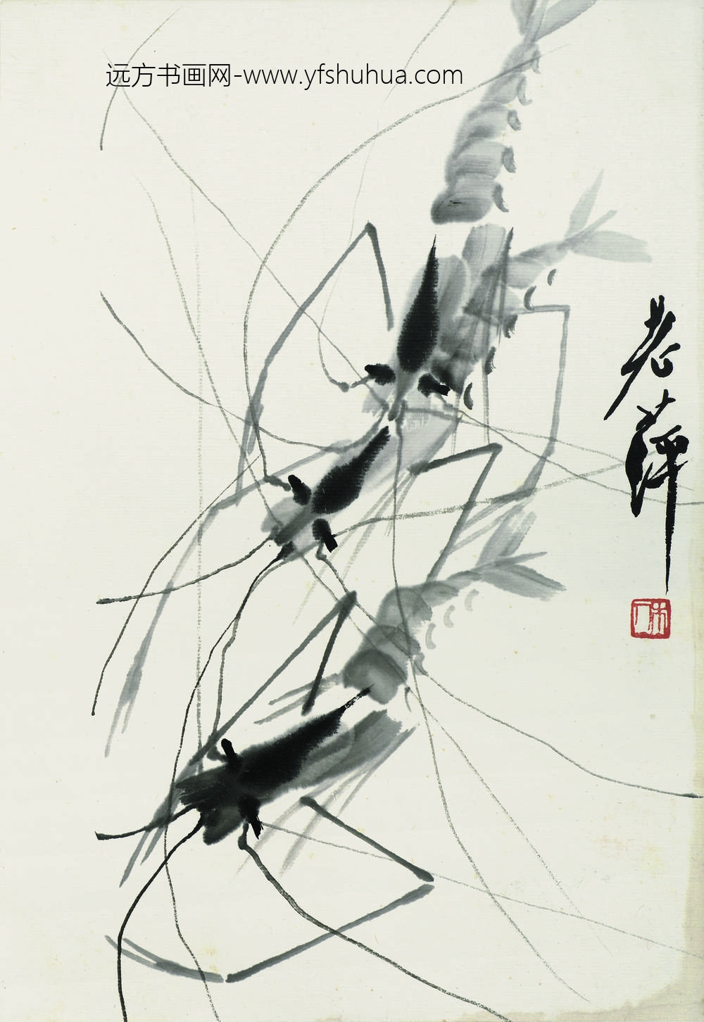 齐白石_水墨群虾