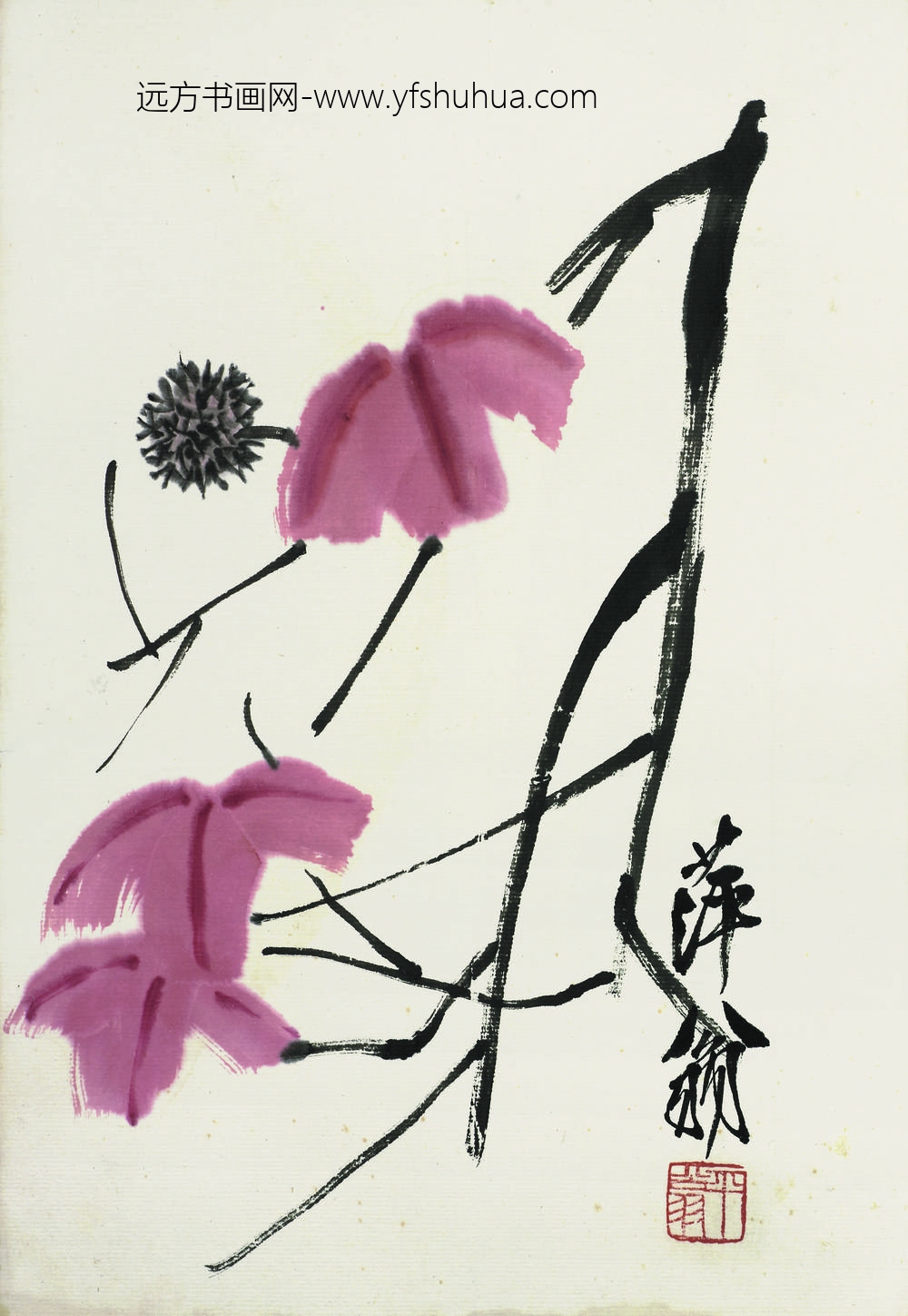 齐白石_粉牵牛