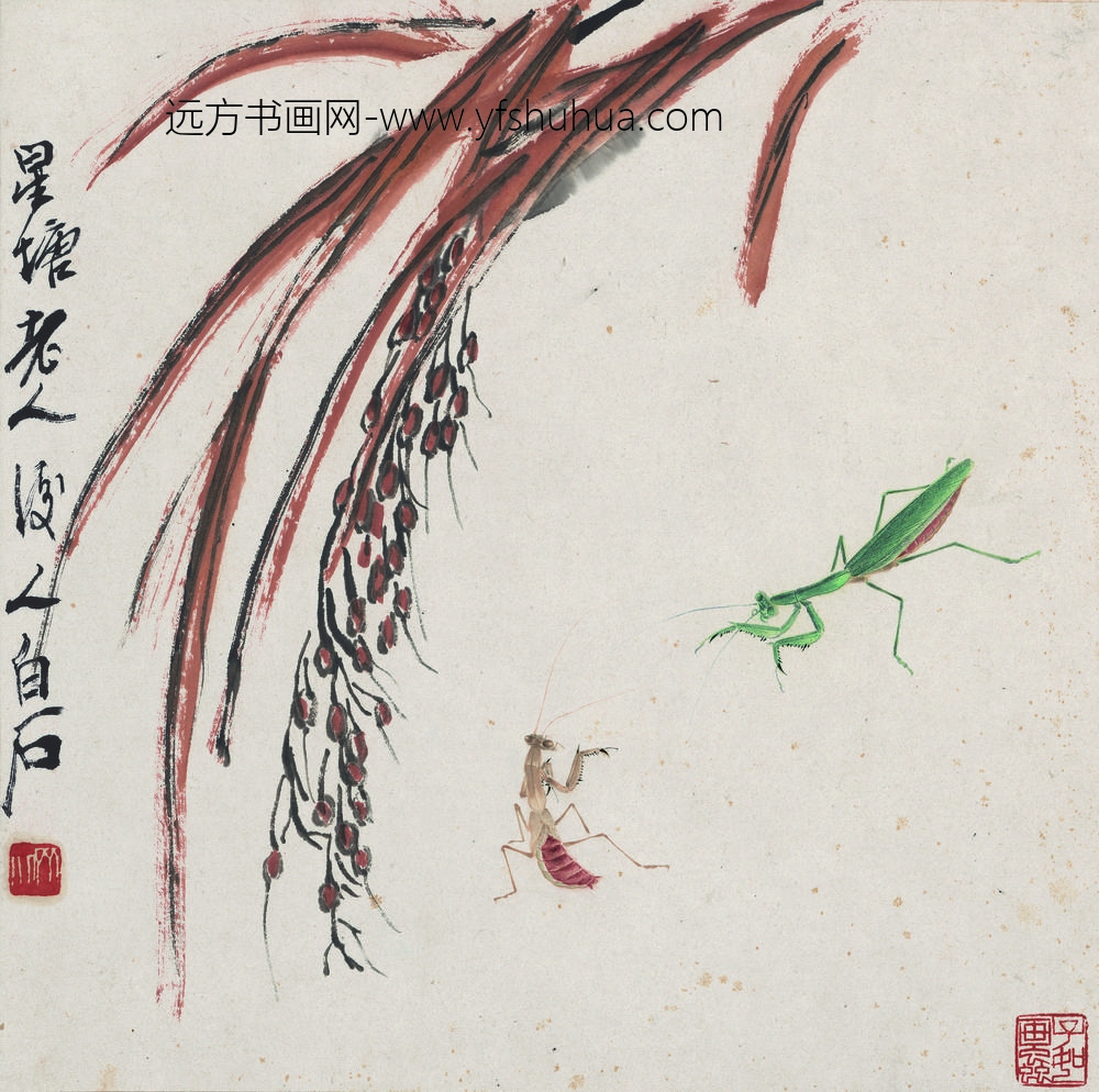 齐白石_花果草虫册-蚱蜢螳螂图