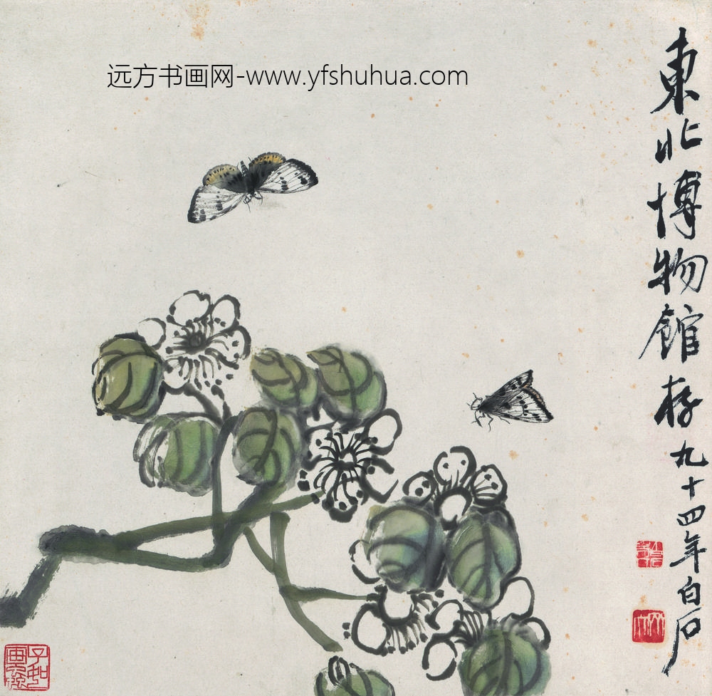 齐白石_花果草虫册-蝴蝶双飞图