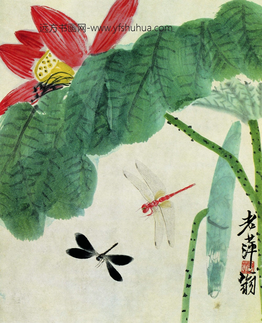 齐白石_荷花蜻蜓