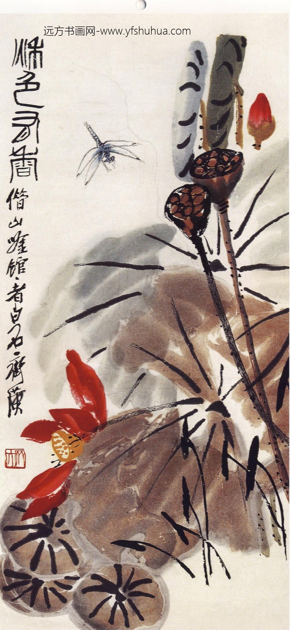 齐白石_蜻蜓荷花-