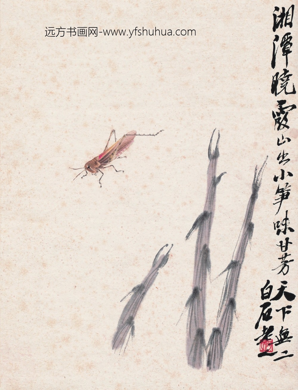 齐白石工虫八开 竹笋蚂蚱