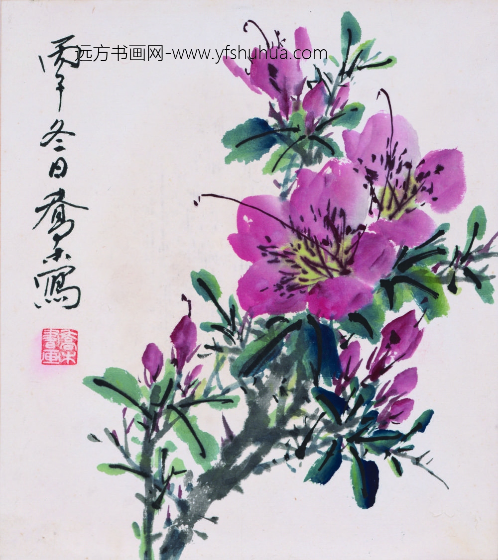 乔木_杜鹃花