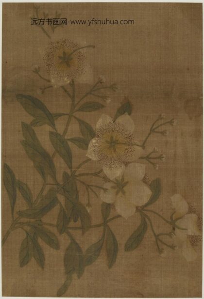 佚名 折枝花卉图.jpg