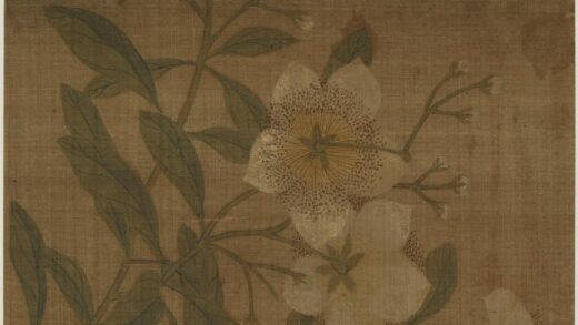 佚名 折枝花卉图.jpg