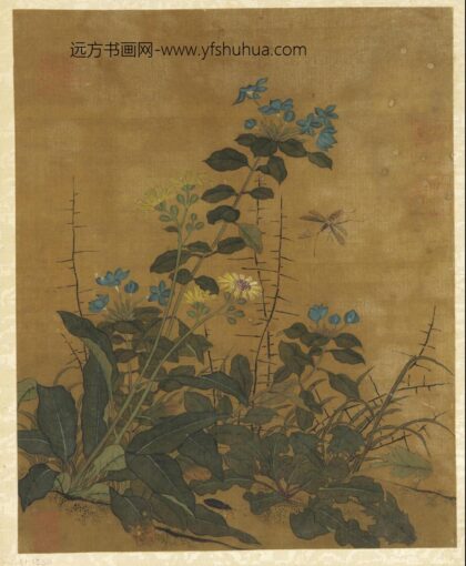 佚名 花鸟水果画册 1.jpg