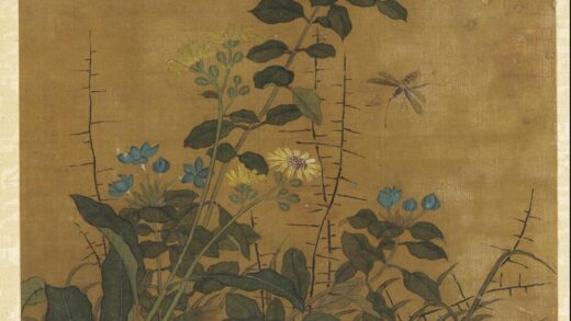 佚名 花鸟水果画册 1.jpg