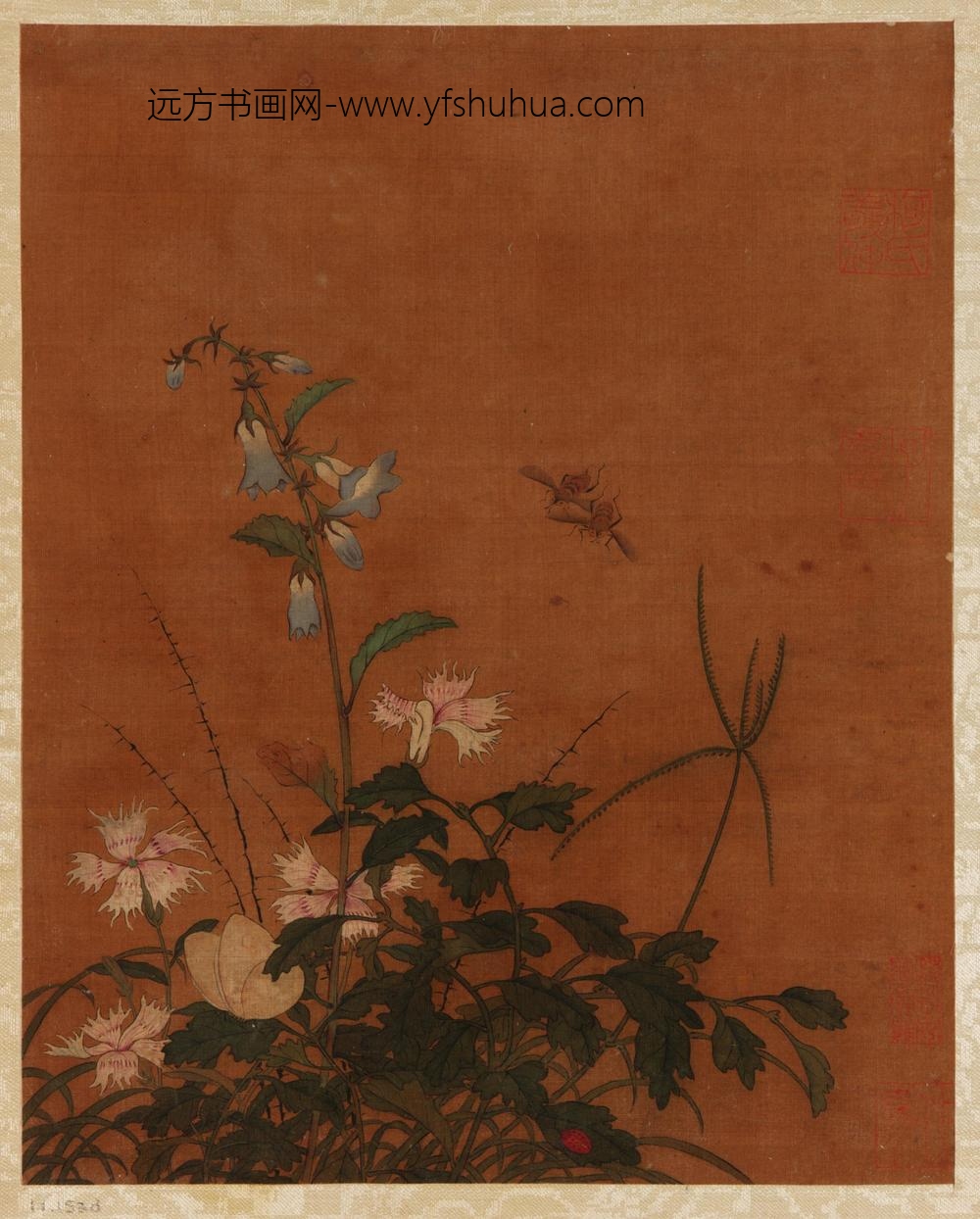 佚名_花鸟水果画册_