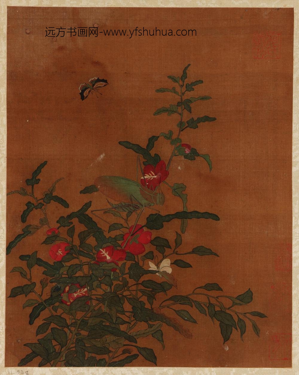 佚名_花鸟水果画册_