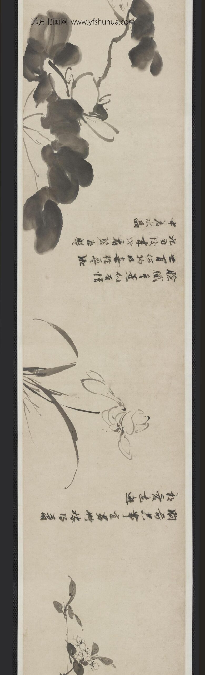 倪元璐_墨笔六种花卉画卷_