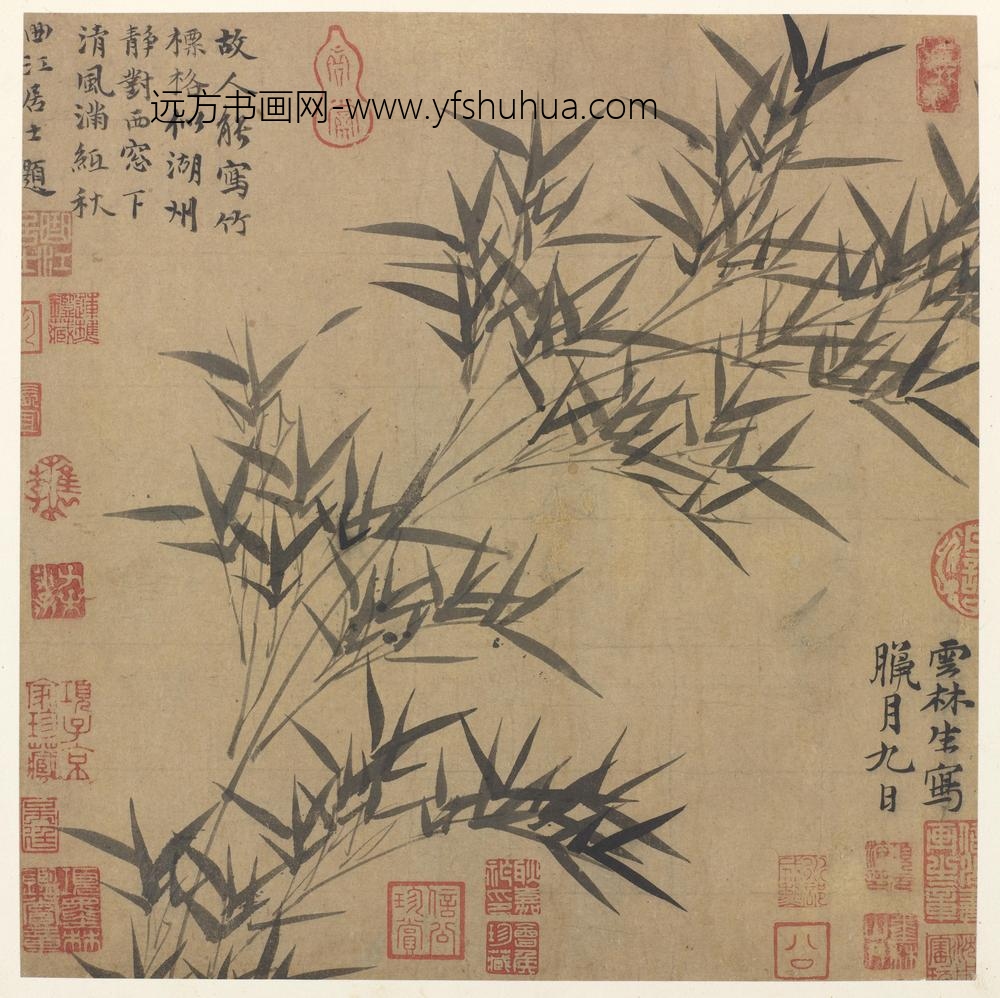 倪瓒_墨竹图