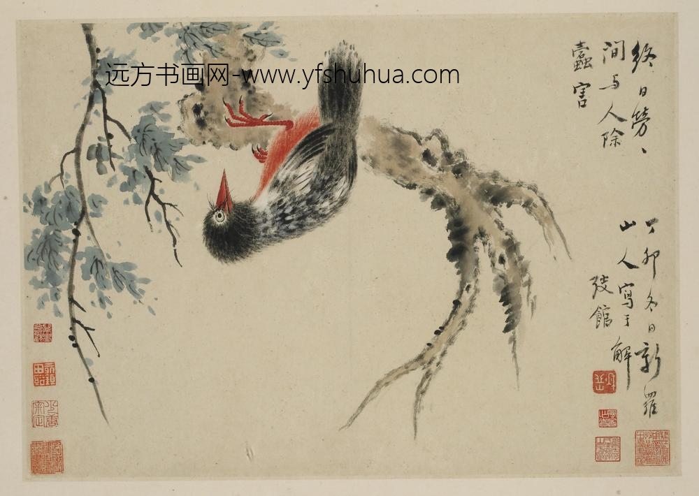 华岩_新罗山人花鸟册_
