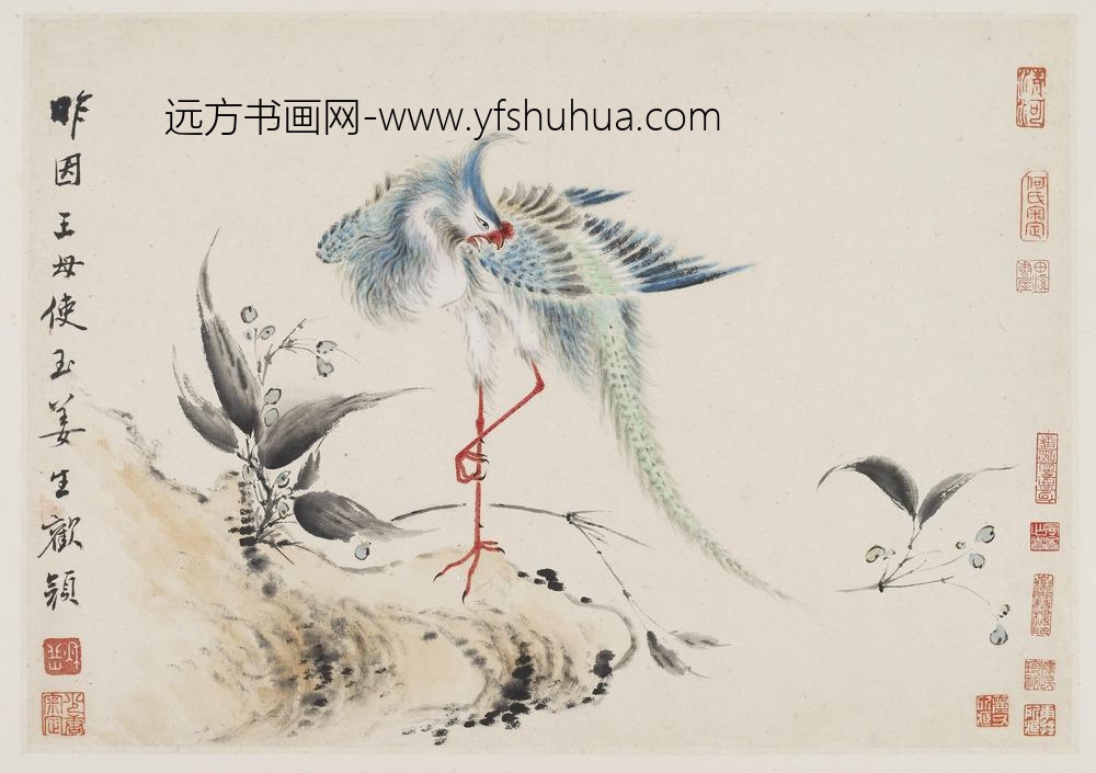 华岩_新罗山人花鸟册_