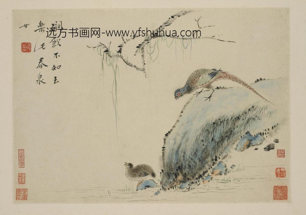 华岩_新罗山人花鸟册_