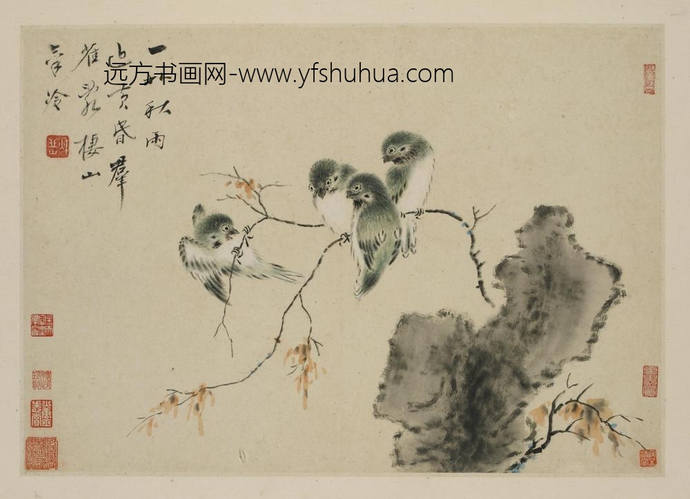 华岩_新罗山人花鸟册_
