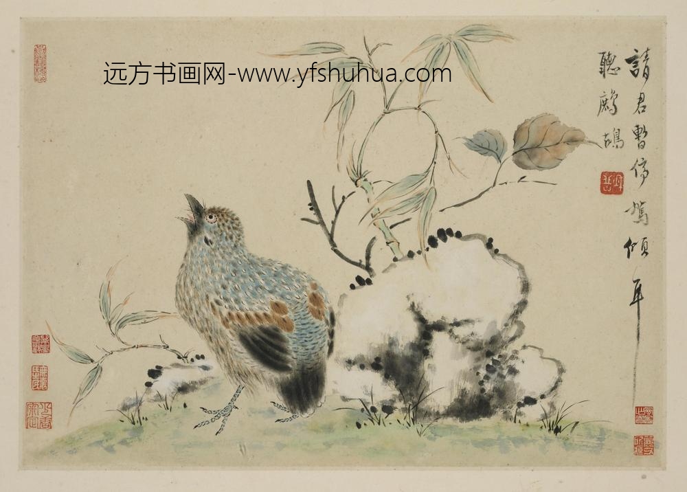 华岩_新罗山人花鸟册_
