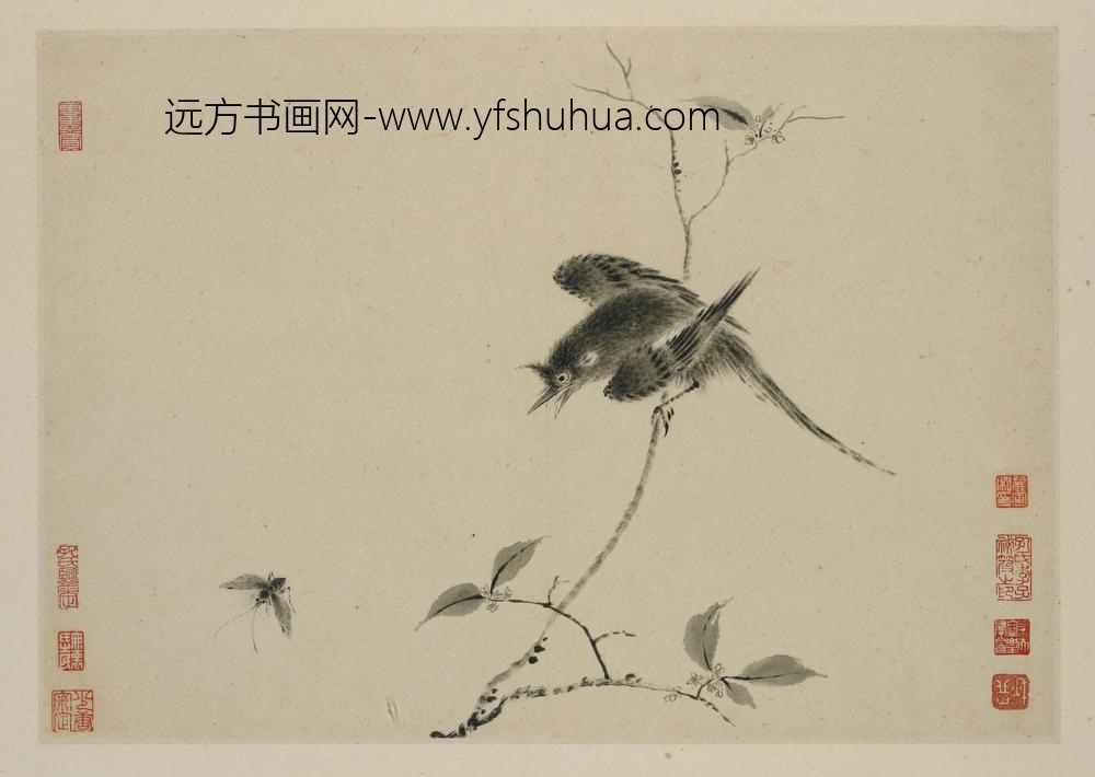 华岩_新罗山人花鸟册_