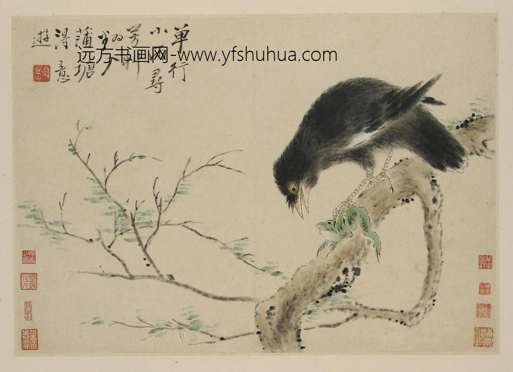 华岩_新罗山人花鸟册_