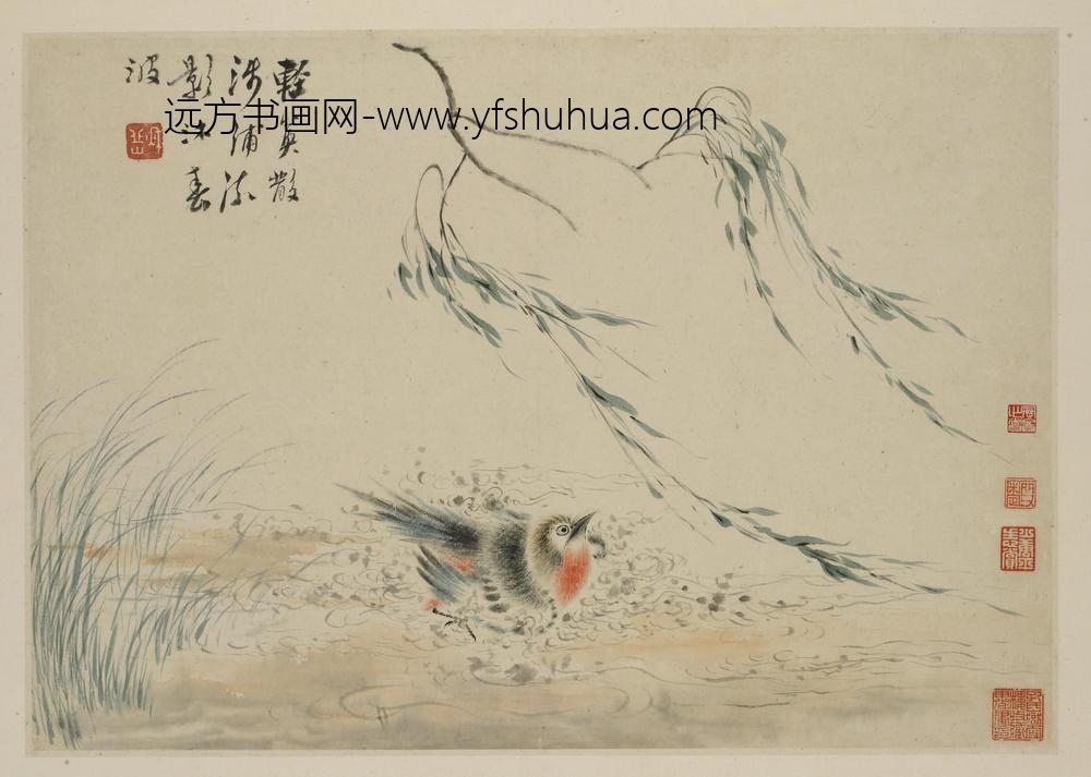 华岩_新罗山人花鸟册_