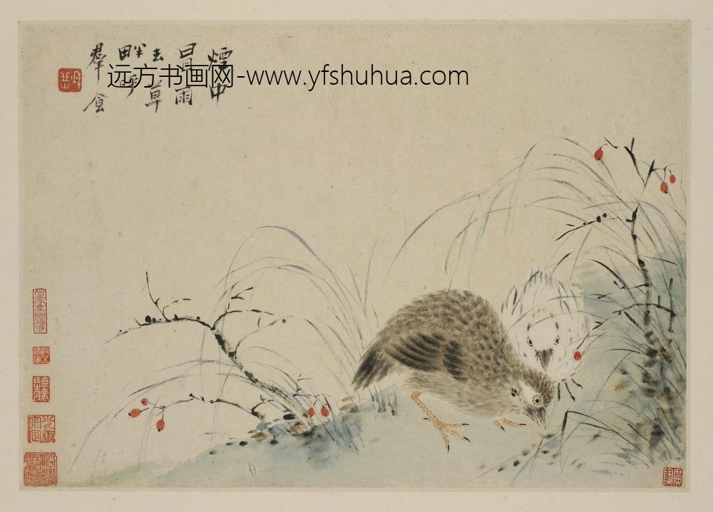 华岩_新罗山人花鸟册_