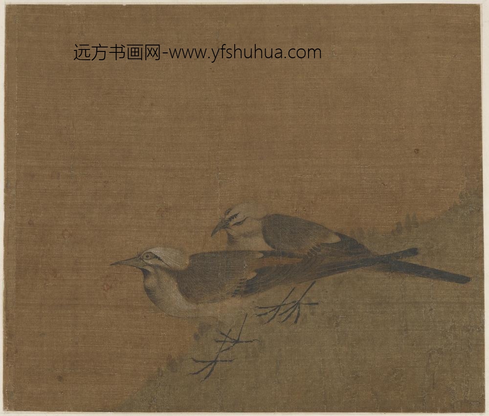 双鹡鸰图