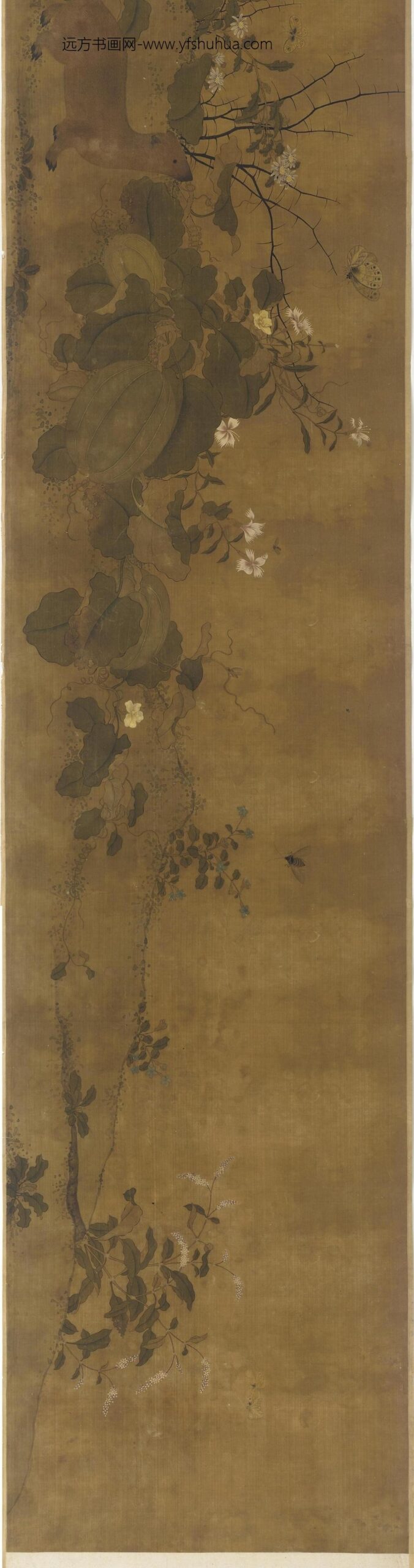 吴炳_园圃瓜茄花鼬双嬉图_