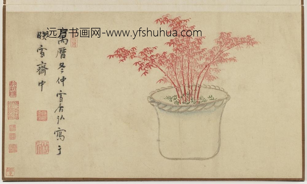 孙克弘_盆栽花石册-朱竹
