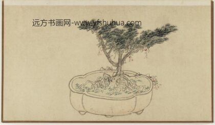 孙克弘 盆石花卉册 桧柏.jpg